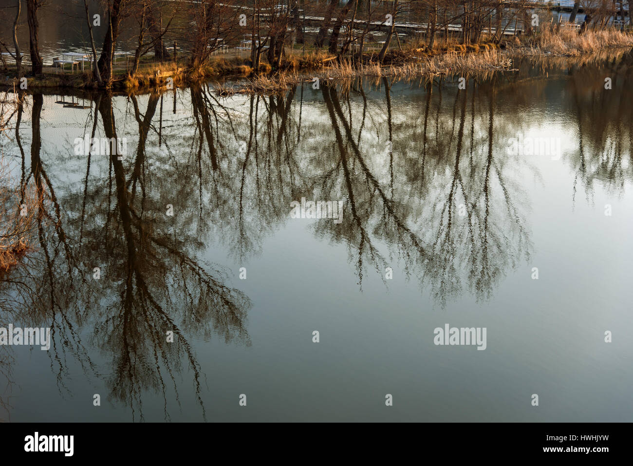 reflection of trees in water at sunset Stock Photo - Alamy