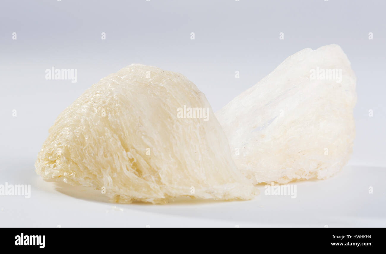 Edible bird nest with the white background. Bird nests that are