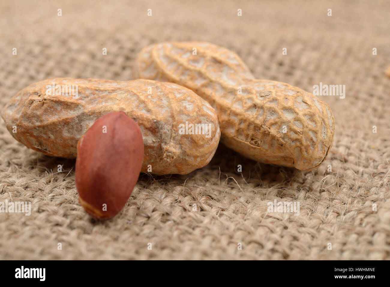Close up peanut in the shell and without shell on a jute background