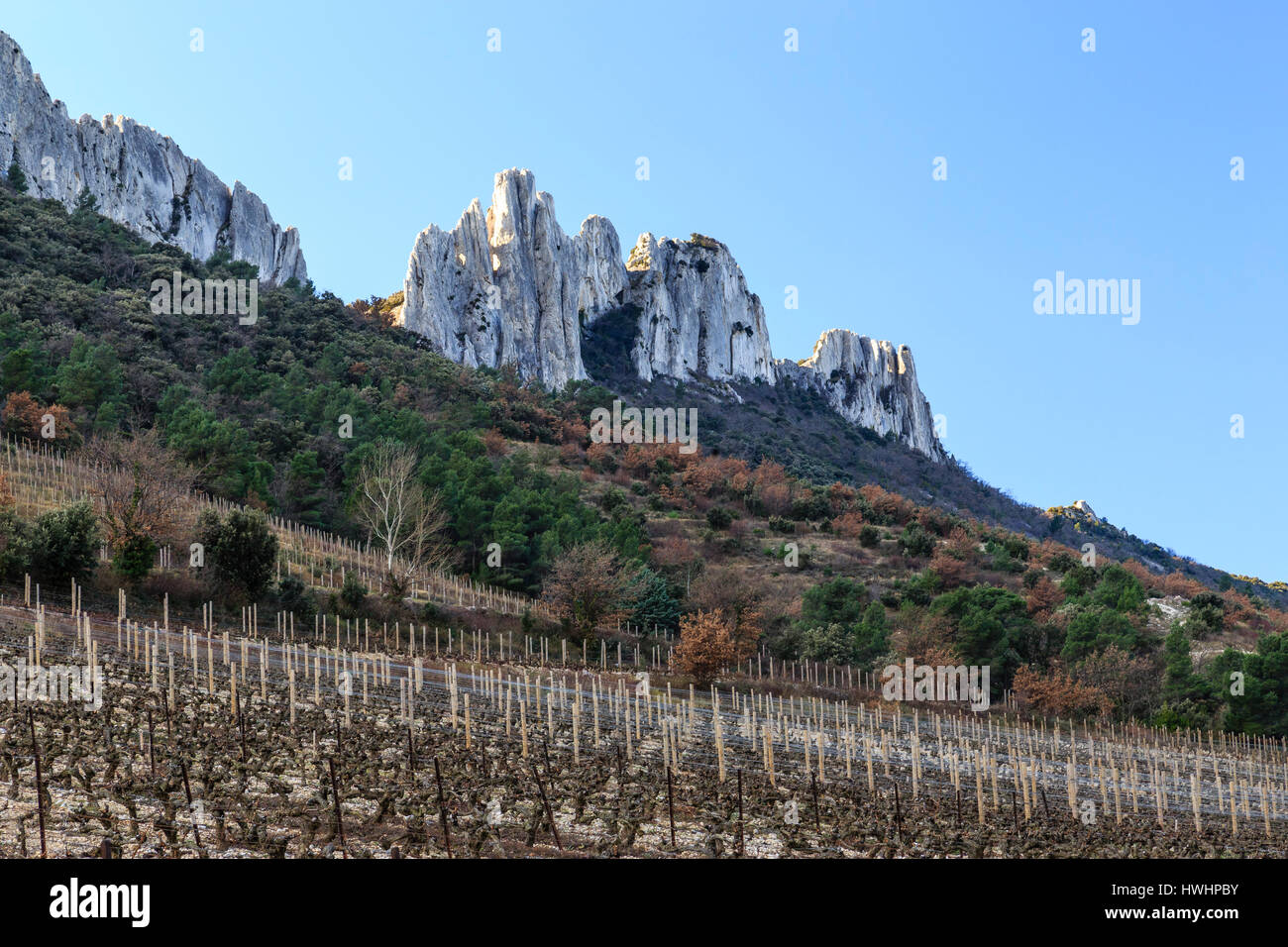 France, Vaucluse, Gigondas,  Dentelles de Montmirail and the  Beaumes-de-Venis vineyard in winter Stock Photo