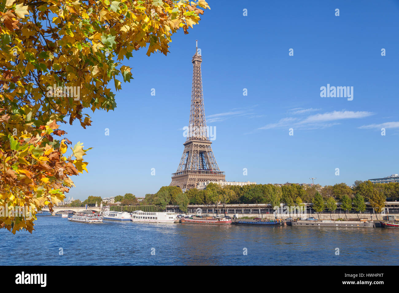 Eiffel Tower with a yellow tree on the front, Paris Stock Photo