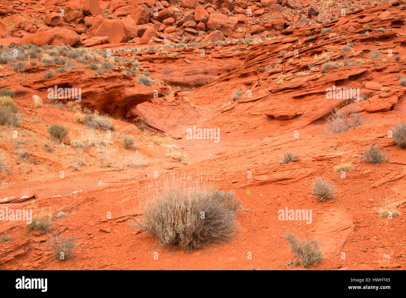 Dead horse trail hires stock photography and images Alamy
