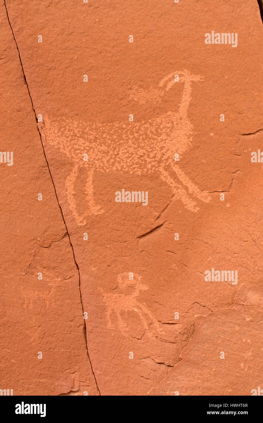 Petroglyphs at Utah Highway 279 Rock Art Site, Potash-Lower Colorado River Scenic Byway, Grand County, Utah Stock Photo