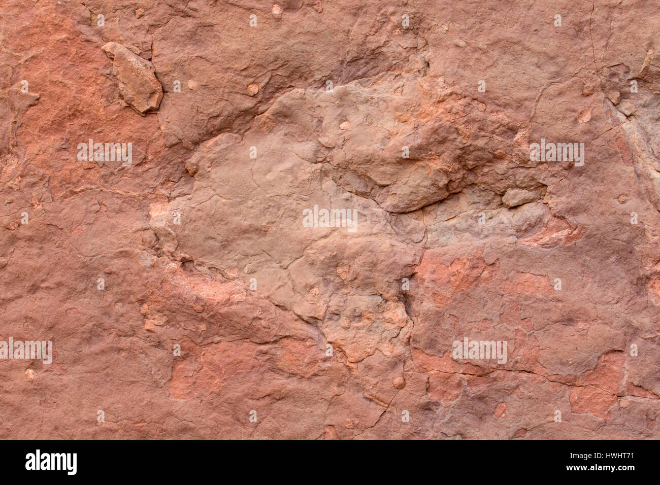 Dinosaur tracks, Potash-Lower Colorado River Scenic Byway, Grand County, Utah Stock Photo