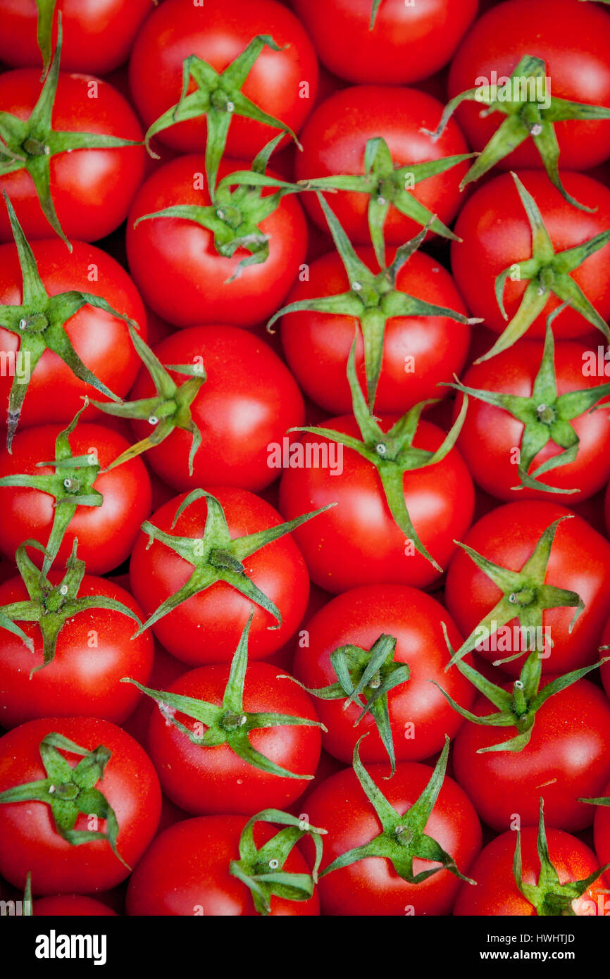red tomatoes background. Group of tomatoes. tomato Stock Photo - Alamy