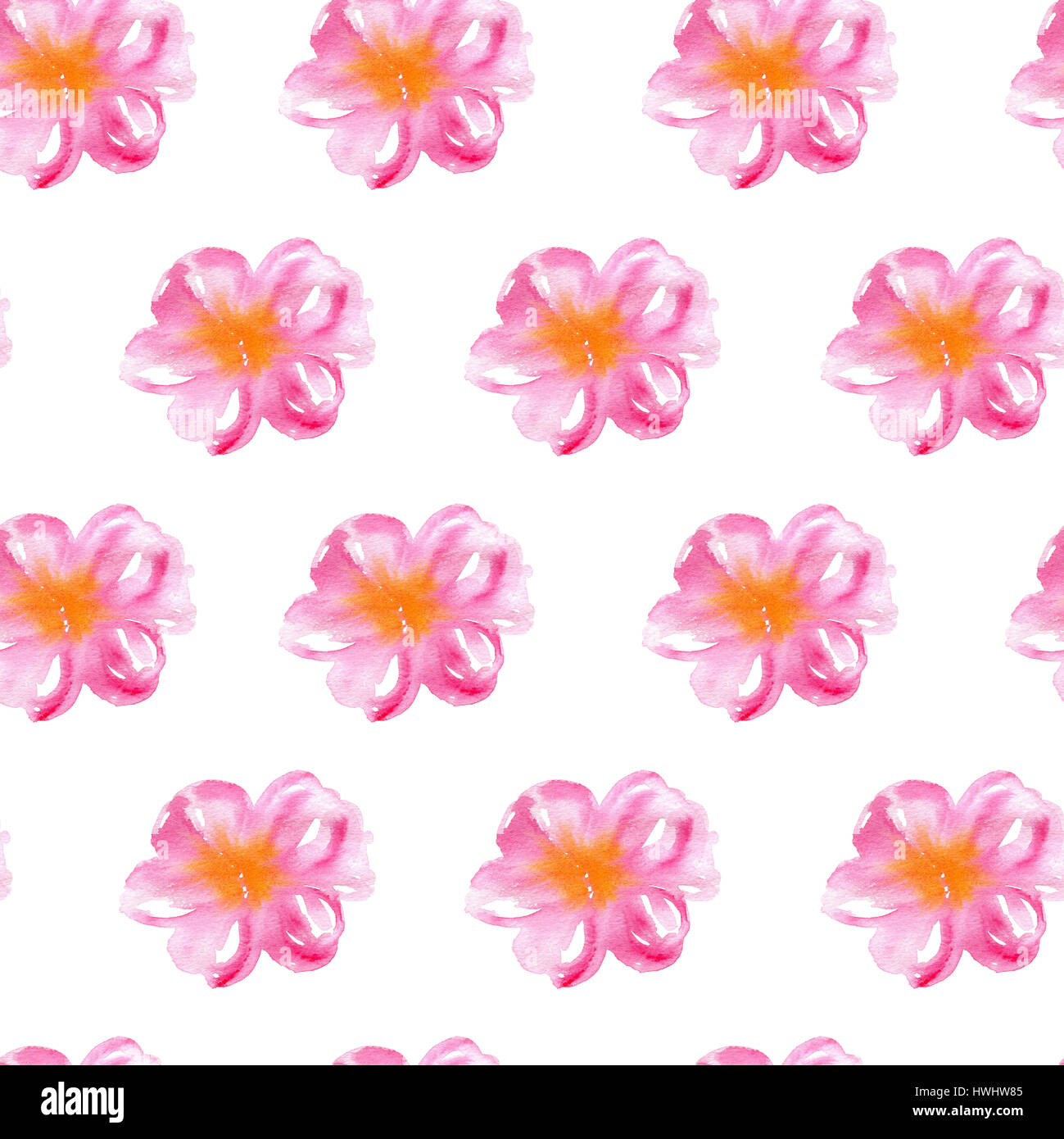 Watercolor floral seamless pattern with pink flowers on a white ...