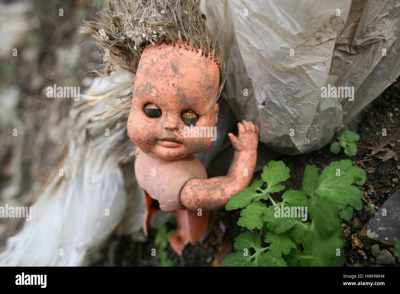 destroyed baby doll Stock Photo