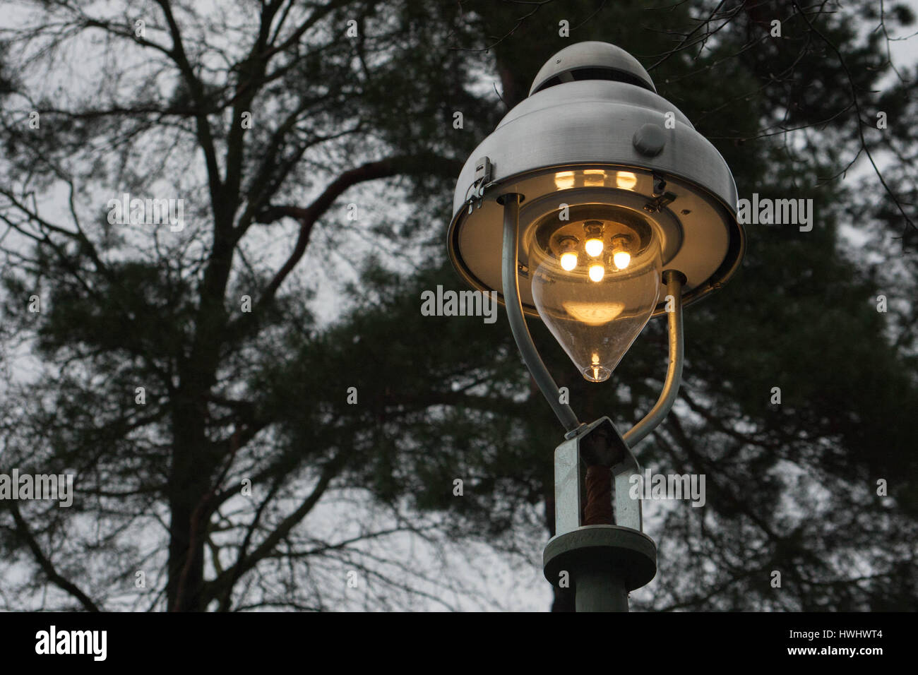 Historical four-burner gas lantern in Berlin Zehlendorf. The Photograph was captured shortly before the evening dusk, on the a cloudy day. Tree trunk Stock Photo