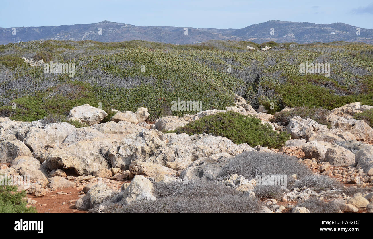 Cypriot Landscape Scene Stock Photo