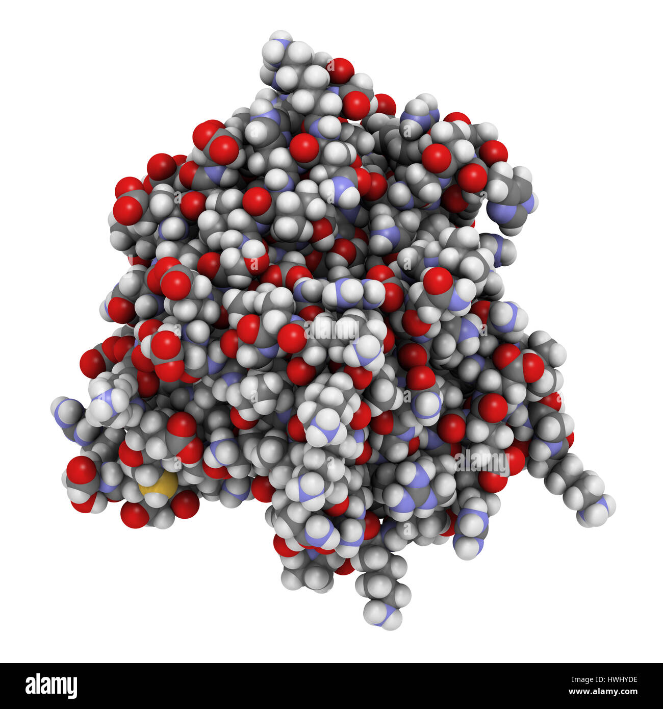 Thrombospondin-1 protein (N-terminal domain). Atoms are represented as spheres with conventional color coding. Stock Photo