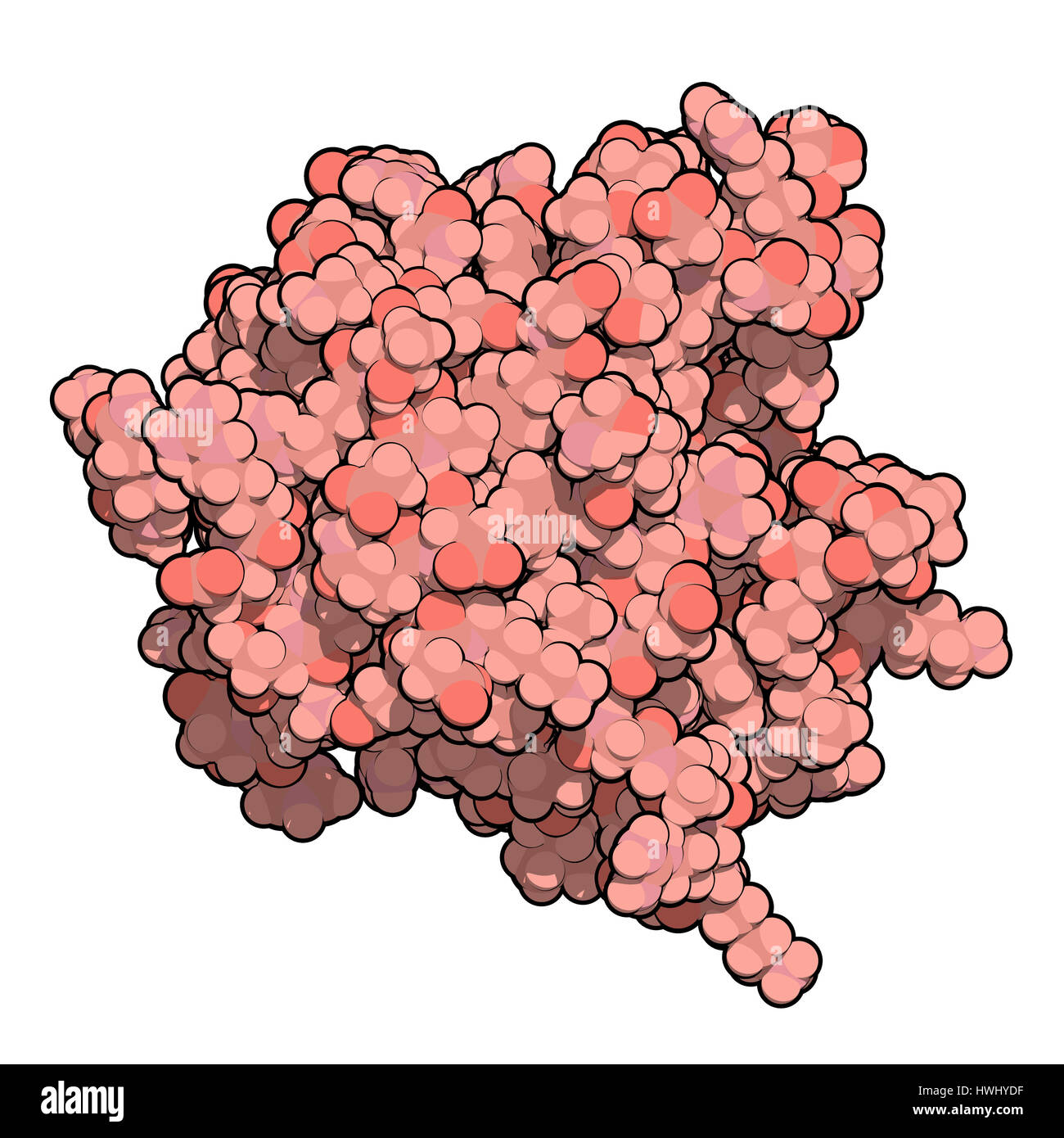 Thrombospondin-1 protein (N-terminal domain). Atoms are represented as color coded spheres. Stock Photo