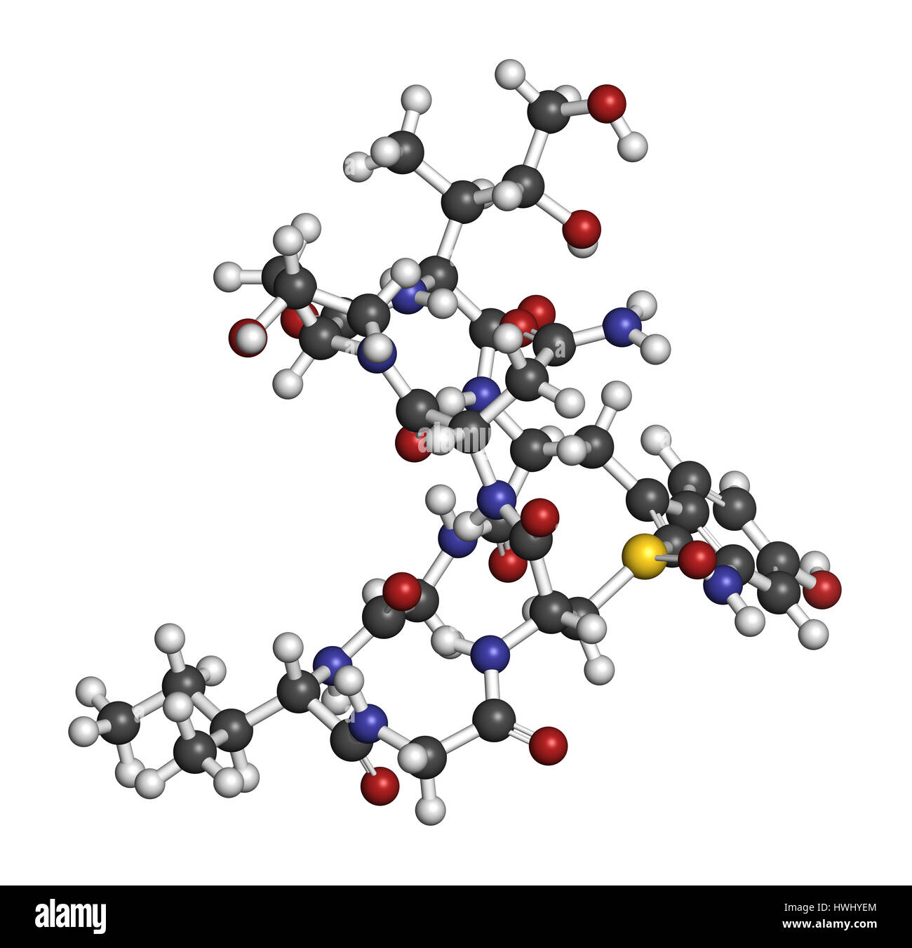 Alpha-amanitin death cap toxin molecule. Present in many Amanita ...