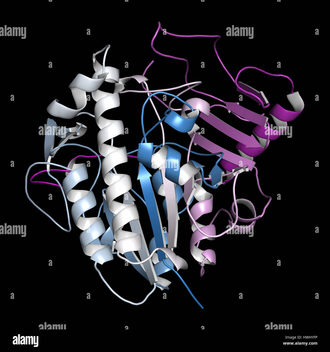 Galsulfase (arylsulfatase B) enzyme molecule. Cartoon representation with backbone gradient coloring. Stock Photo
