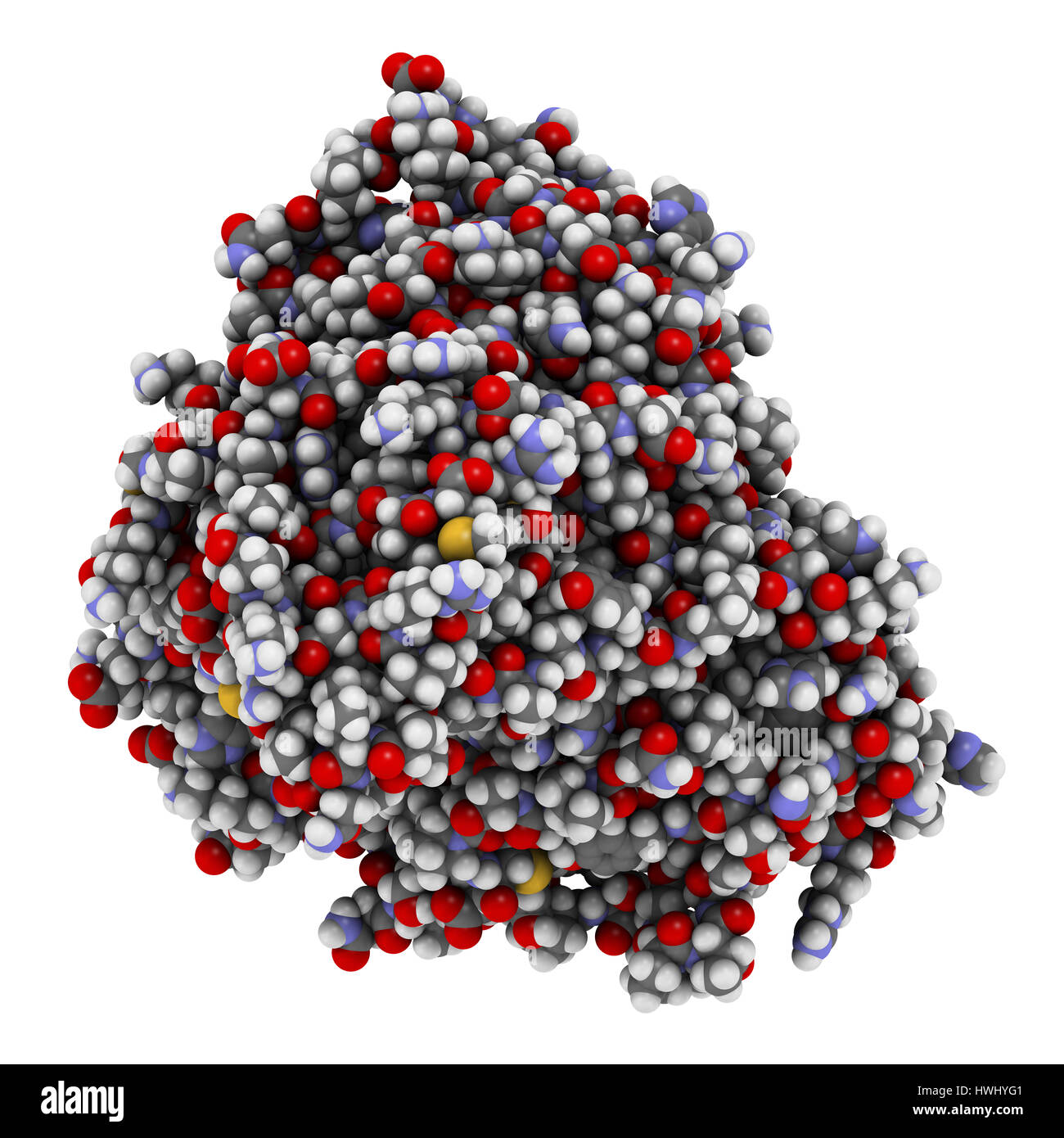 Galsulfase (arylsulfatase B) enzyme molecule. Atoms are represented as spheres with conventional color coding. Stock Photo