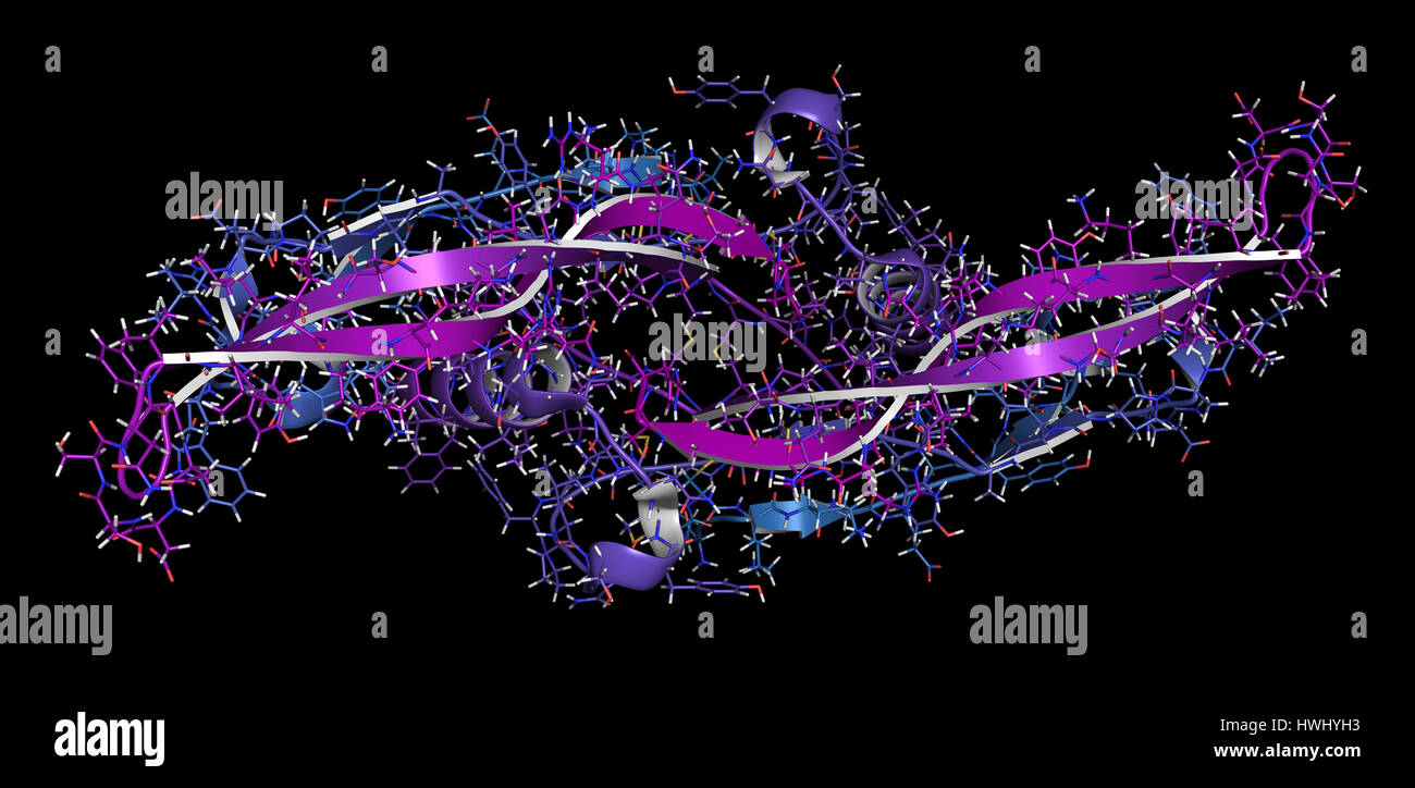 Bone morphogenetic protein 7 (BMP-7) protein. Plays important role in ...