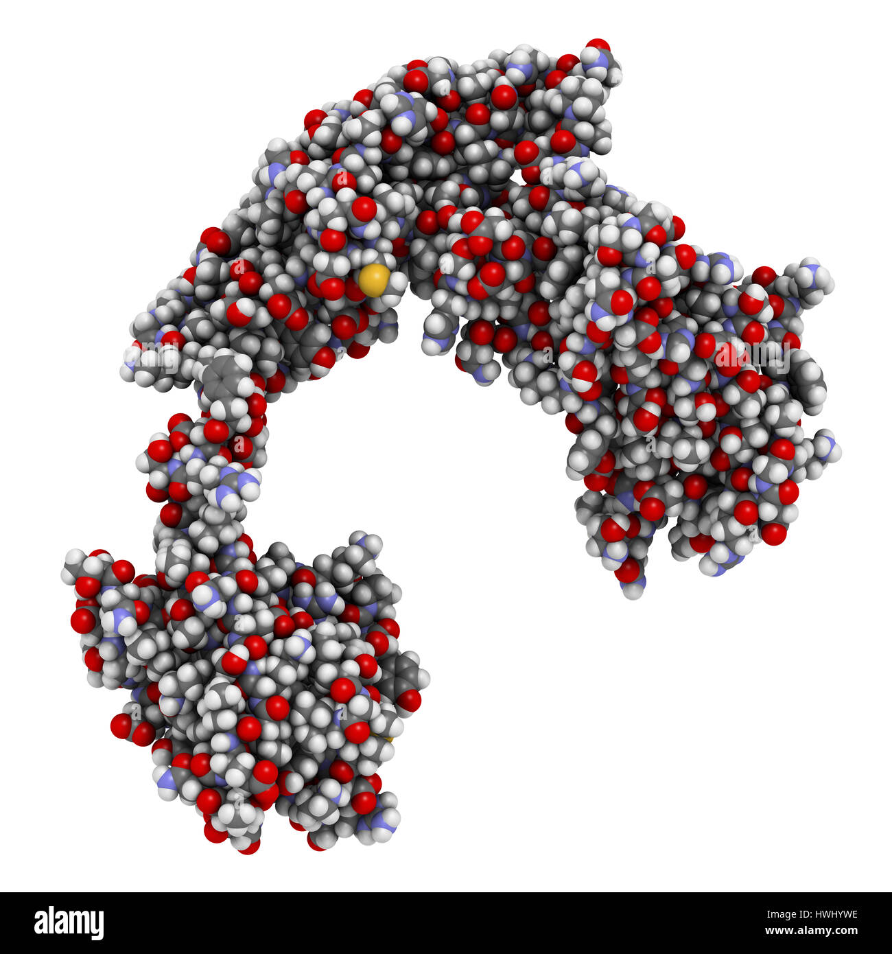 Streptokinase enzyme molecule. Protein from Streptococcus bacteria that is used as a thrombolytic drug. Atoms are represented as spheres with conventi Stock Photo
