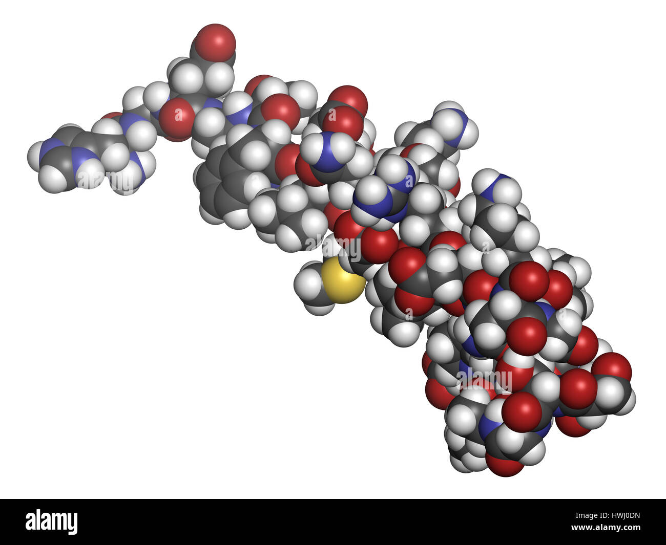 Exenatide diabetes drug molecule. 3D rendering. Atoms are represented ...