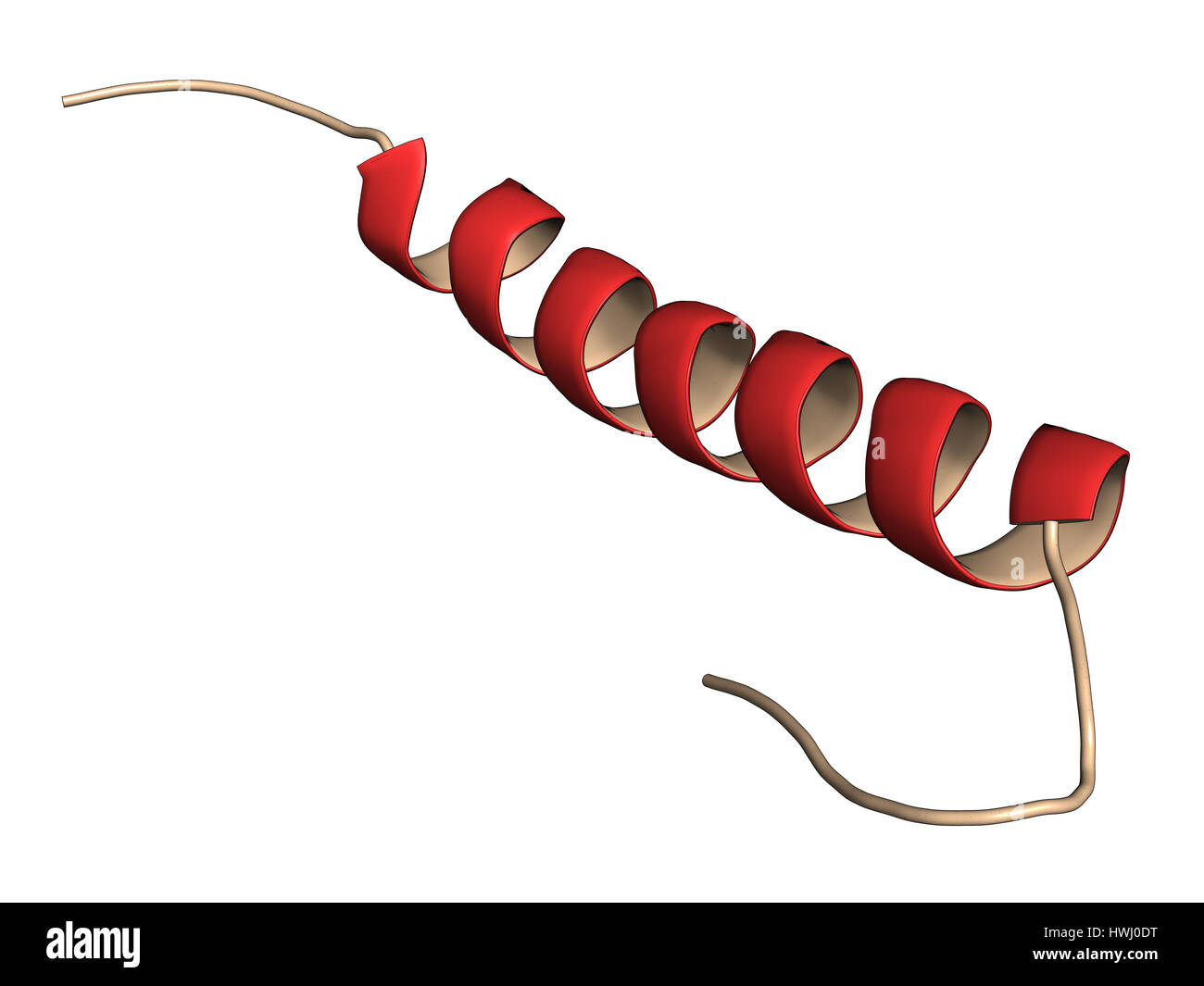 Exenatide diabetes drug molecule. 3D rendering. Cartoon representation ...