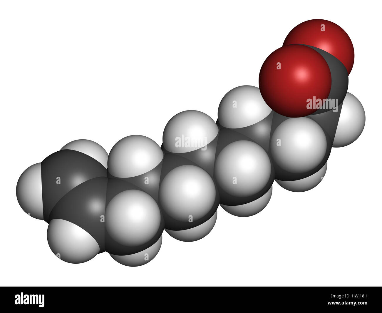 Undecylenic acid topical antifungal drug molecule. 3D rendering. Atoms