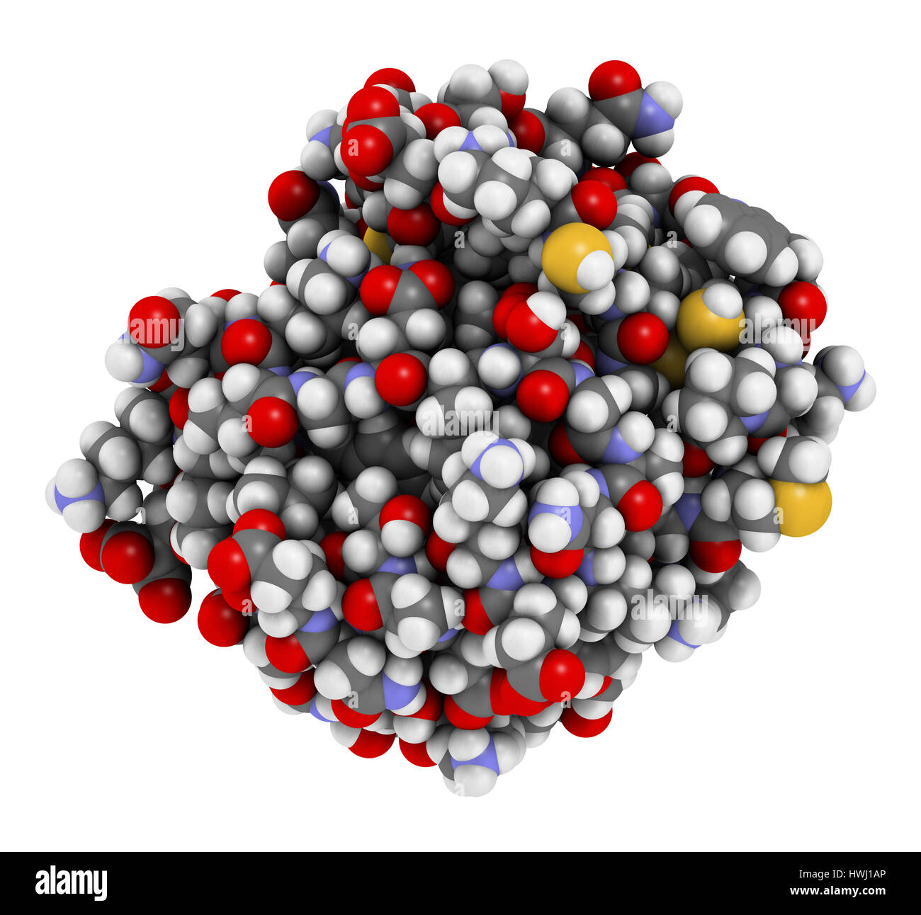 Thioredoxin antioxidant enzyme. 3D illustration. Atoms shown as spheres