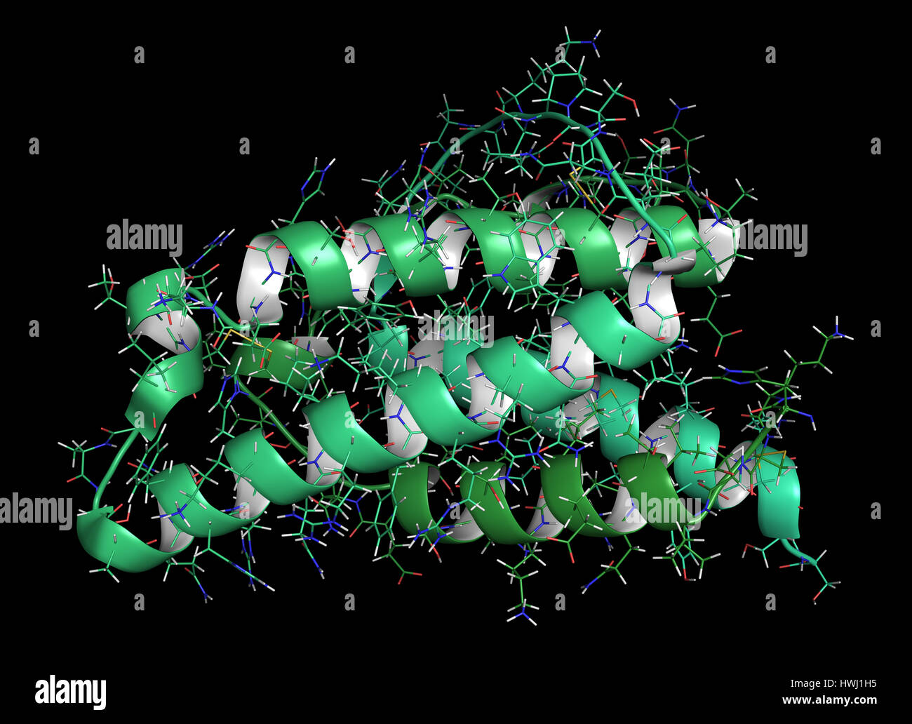 Interleukin 4 (IL4) cytokine protein. 3D Illustration. Cartoon