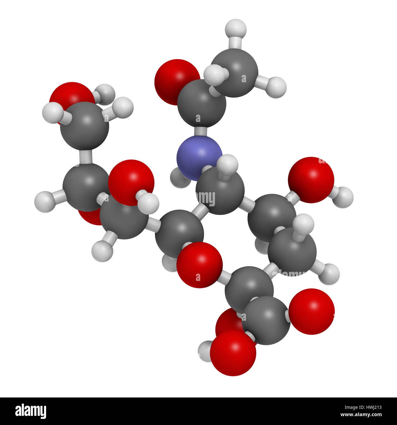 Sialic acid (N-acetylneuraminic acid, Neu5Ac, NANA) molecule. 3D rendering.   Atoms are represented as spheres with conventional color coding: hydroge Stock Photo