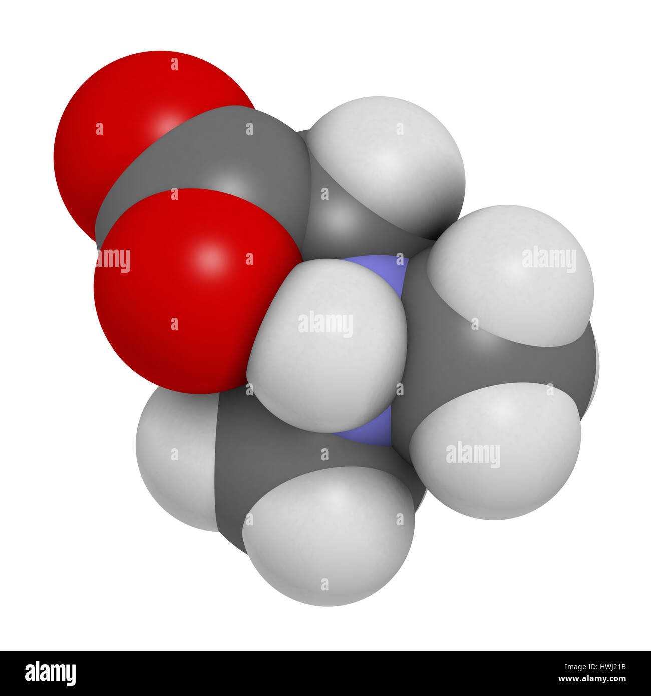 Dimethylglycine (DMG) molecule. 3D rendering. Methylated derivative of