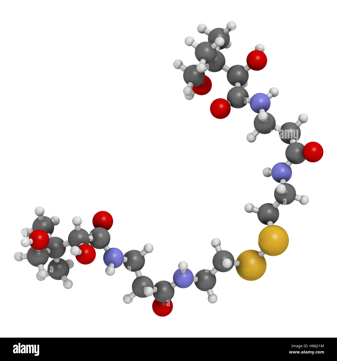 Pantethine (dimeric vitamin B5) molecule. 3D rendering. Used in dietary