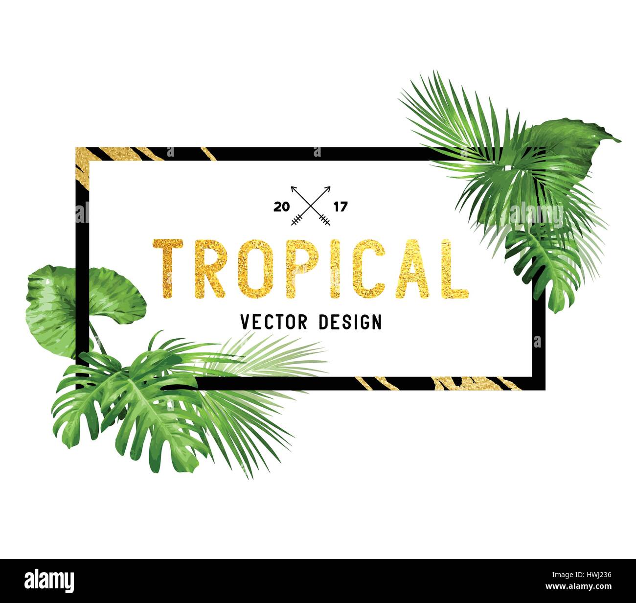 Black and gold tropical border frame design with various plam leaves. Vector illustration Stock Vector