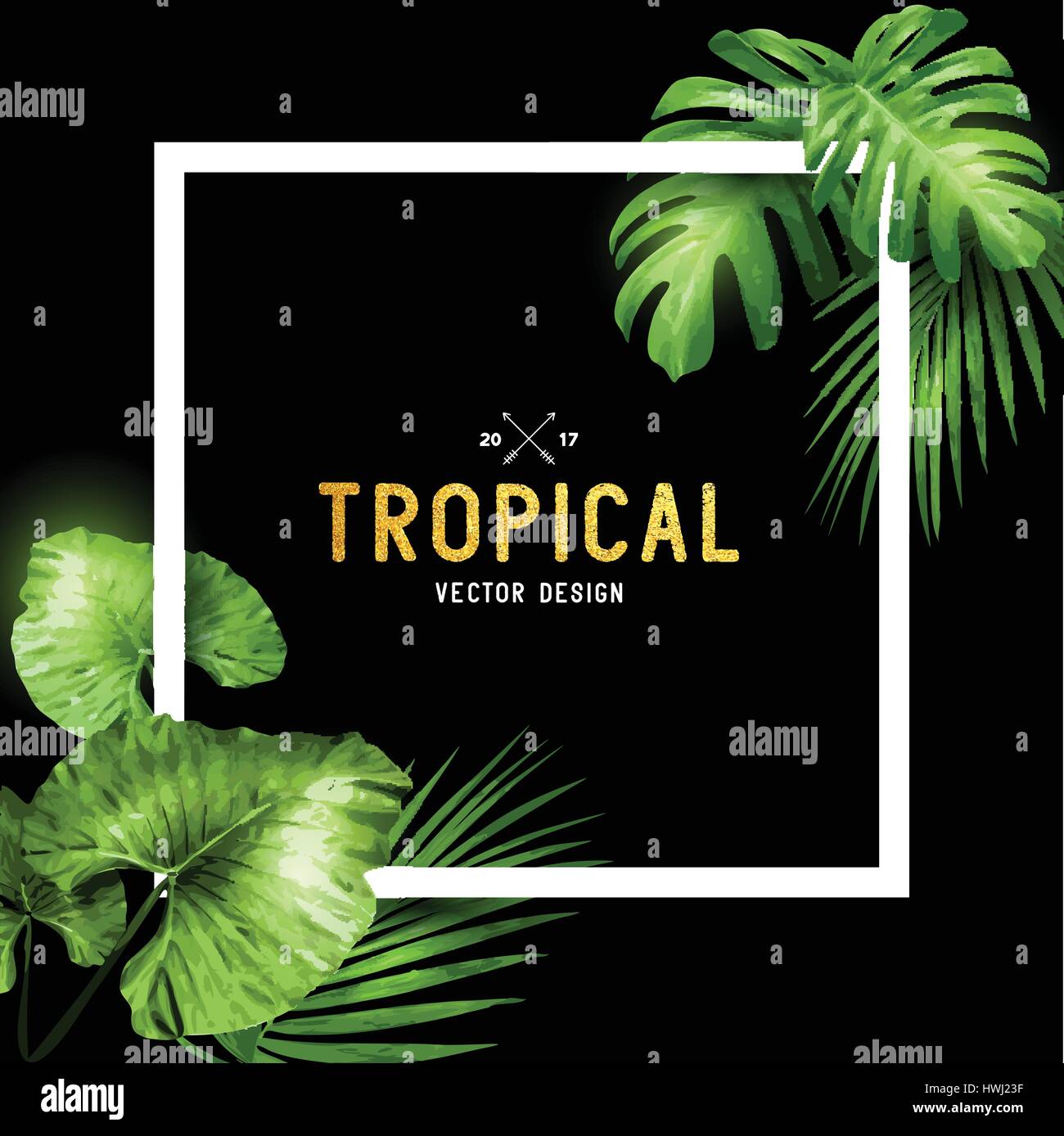 Exotic tropical summer frame with palm leaves. Vector illustration ...