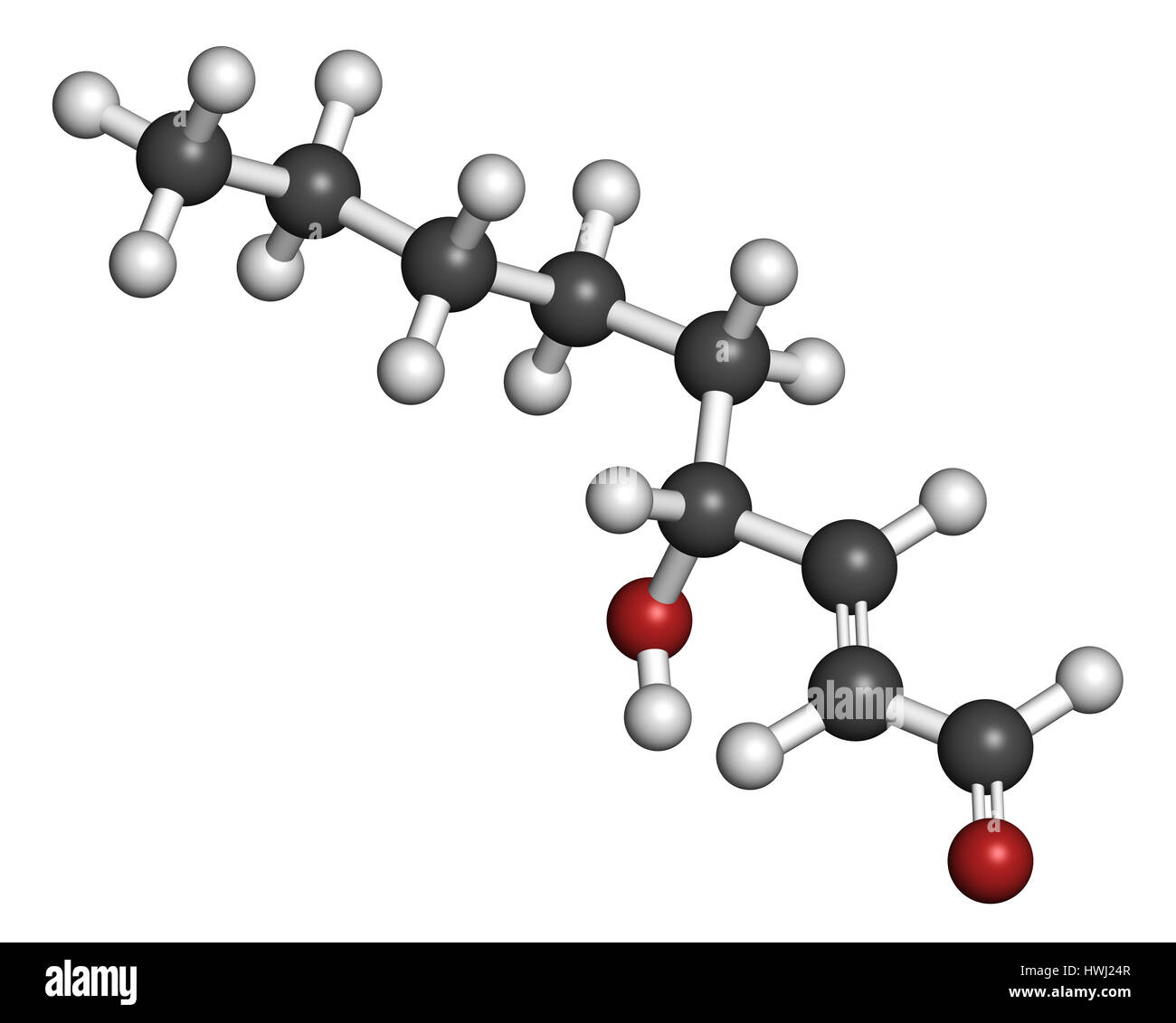 4-Hydroxynonenal (HNE) molecule. Metabolite produced by lipid peroxidation of polyunsaturated omega-6 fatty acids. 3D rendering. Atoms are represented Stock Photo