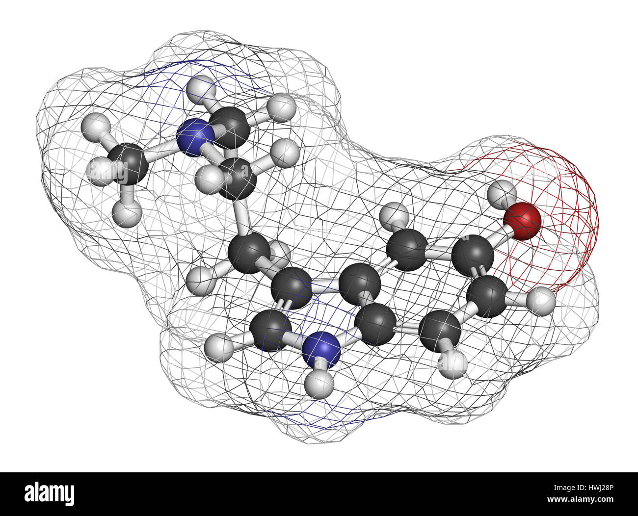 Bufotenin molecule. Tryptamine present in several psychedelic toads. 3D ...