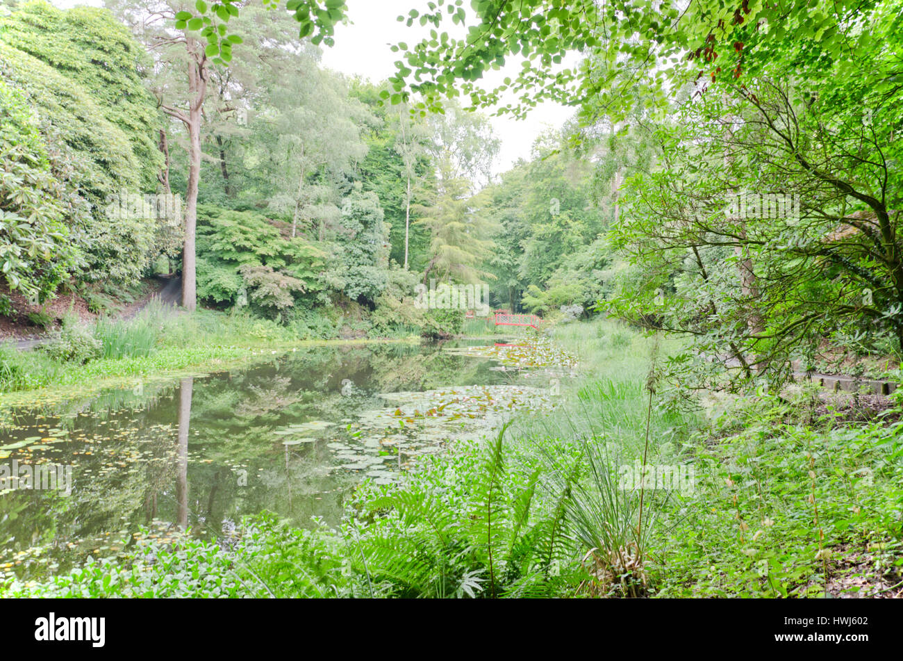 Portmeirion holiday village Stock Photo Alamy