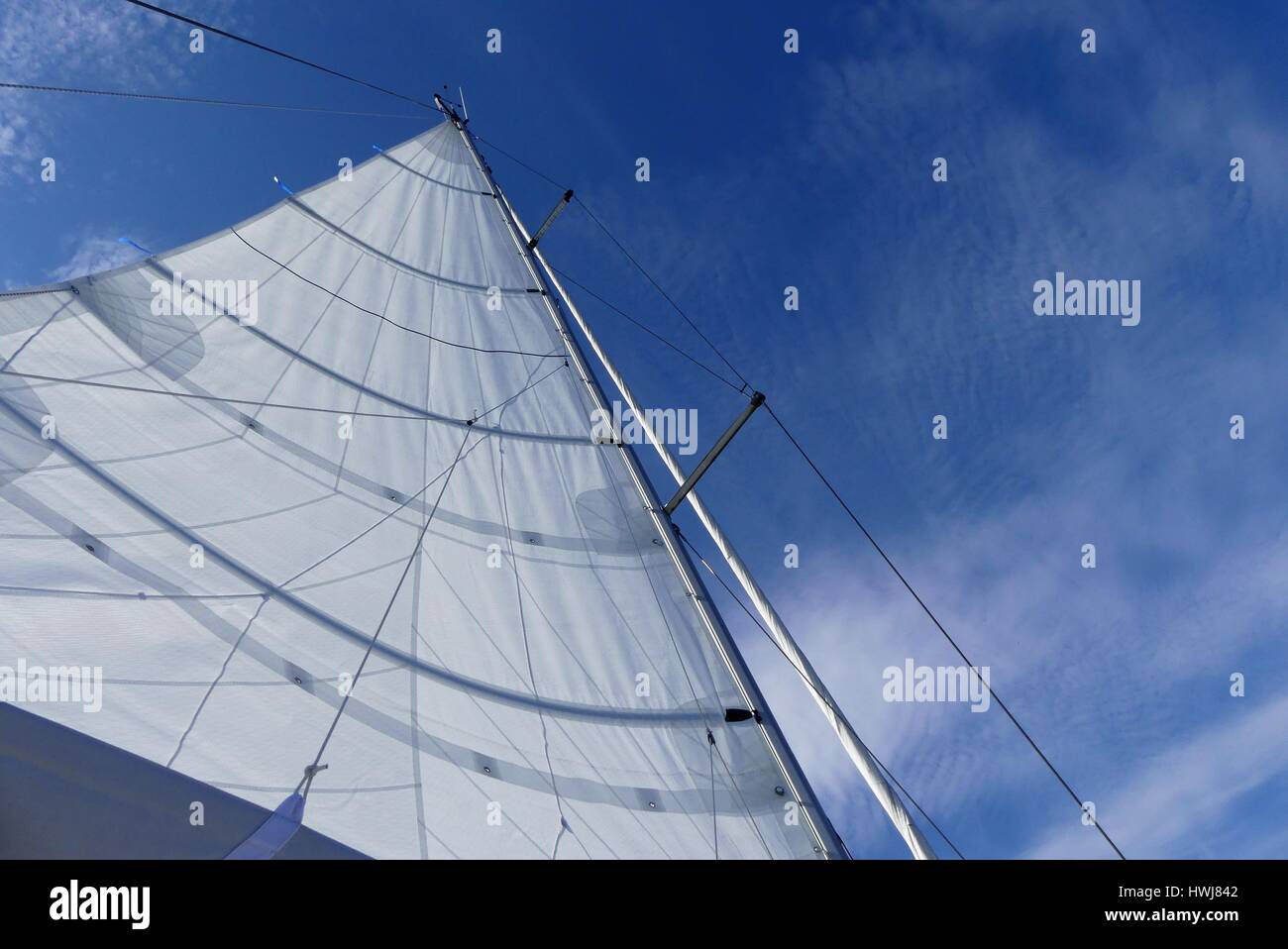 Closeup shoot  of a Full Batten main sail on sailboat with blue sky in  background Stock Photo