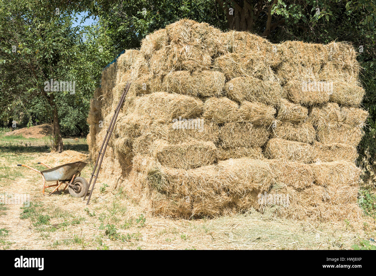 Ladder set against a haystack hi-res stock photography and images - Alamy