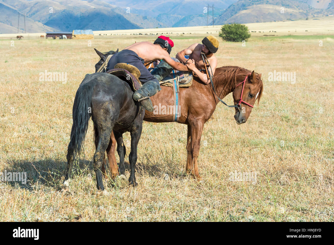 Atpen Audaraspak, Traditional Kazakh horseback arm wrestling game, Gabagly national park, Shymkent, South Region, Kazakhstan, Central Asia, For editorial use only Stock Photo