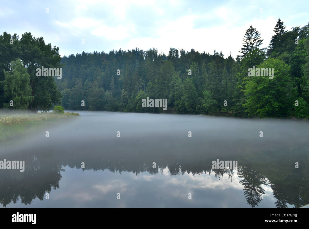 Nebel, Saale, Naturpark Thueringer Schiefergebirge/Obere Saale, Thueringen, Deutschland Stock Photo
