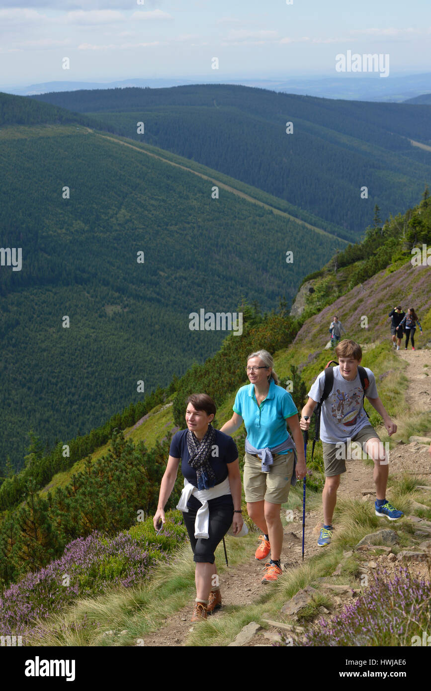 Wanderweg zum Berg Krakonos, Riesengebirge, Tschechien Stock Photo