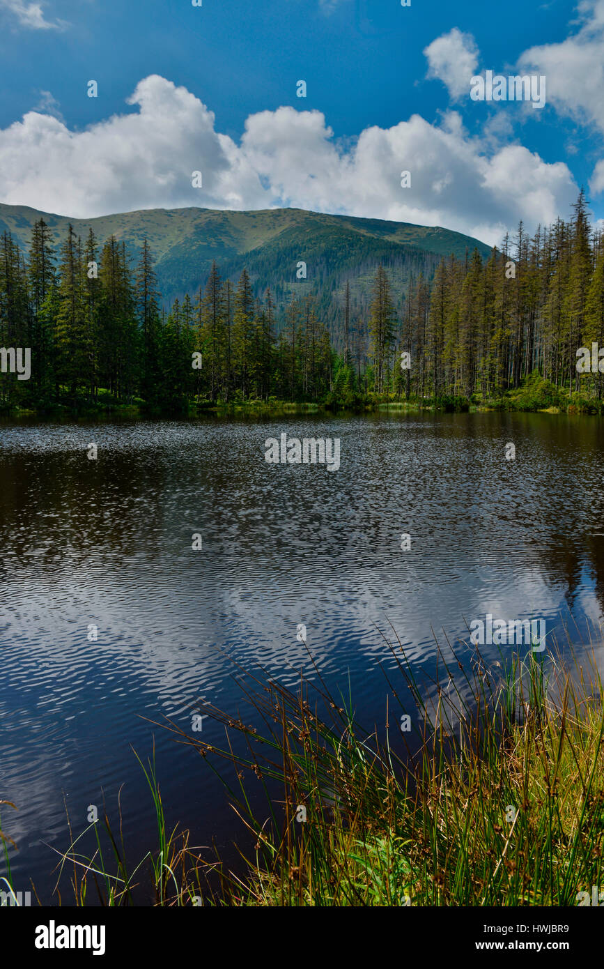 Bergsee Smreczynski Staw, Dolina Koscieliska, Hohe Tatra, Polen Stock Photo