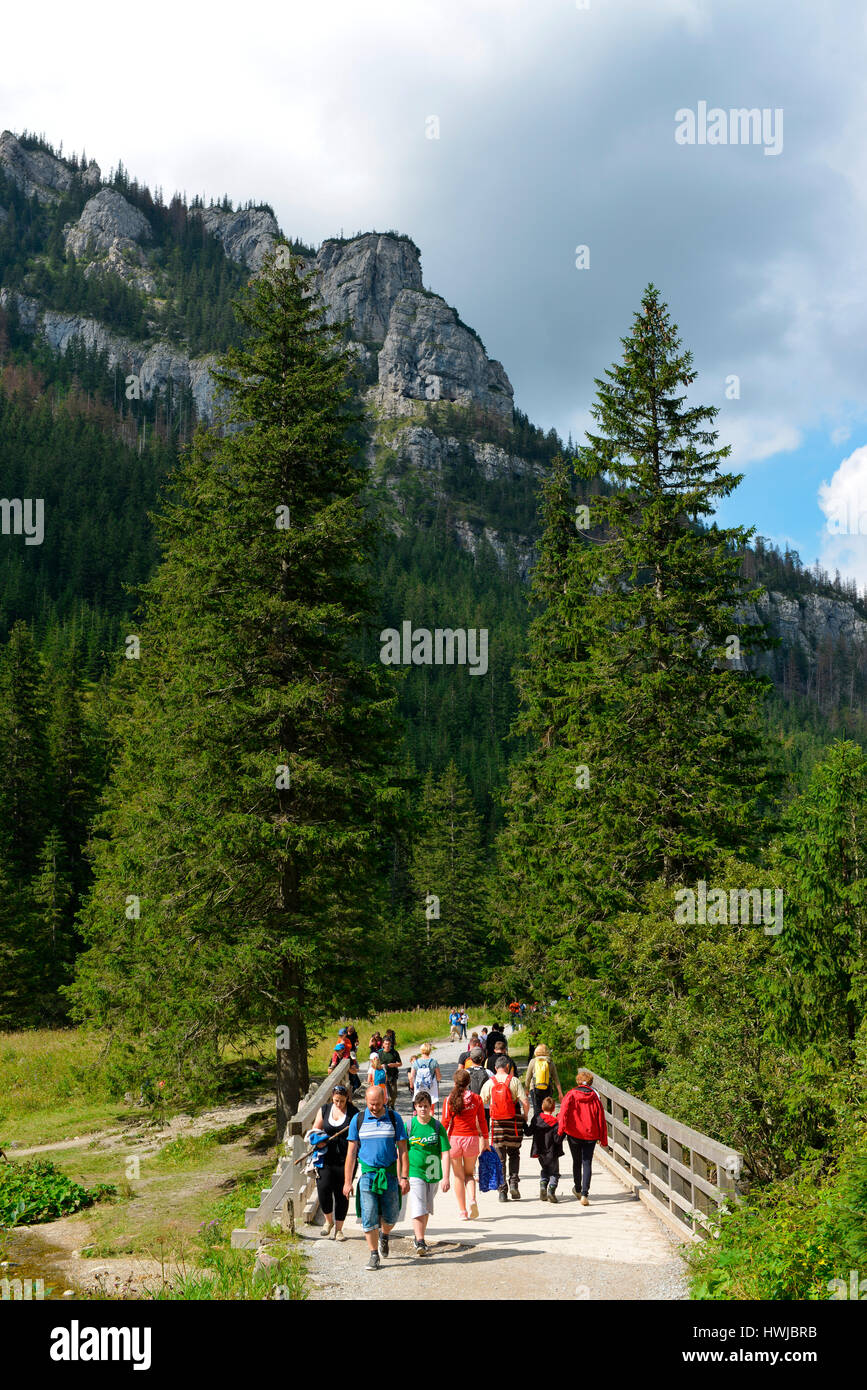 Wanderer, Dolina Koscieliska, Hohe Tatra, Polen Stock Photo