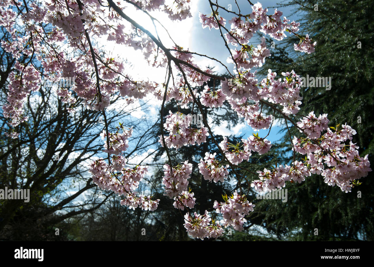 Weatherspring Stock Photos Weatherspring Stock Images Alamy