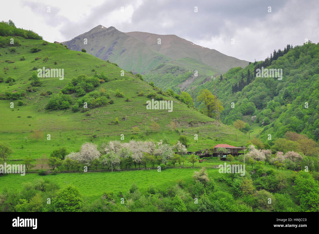 Spring in the caucasian mountains, Georgian Military Highway, Kazbegi, Stepantsminda, Mtskheta-Mtianeti, Georgia, Caucasus Stock Photo