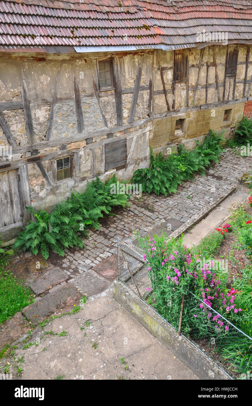 Cottage garden, Waiblingen, Rems-Murr region, Rems Valley, Baden-Wuerttemberg, Germany Stock Photo