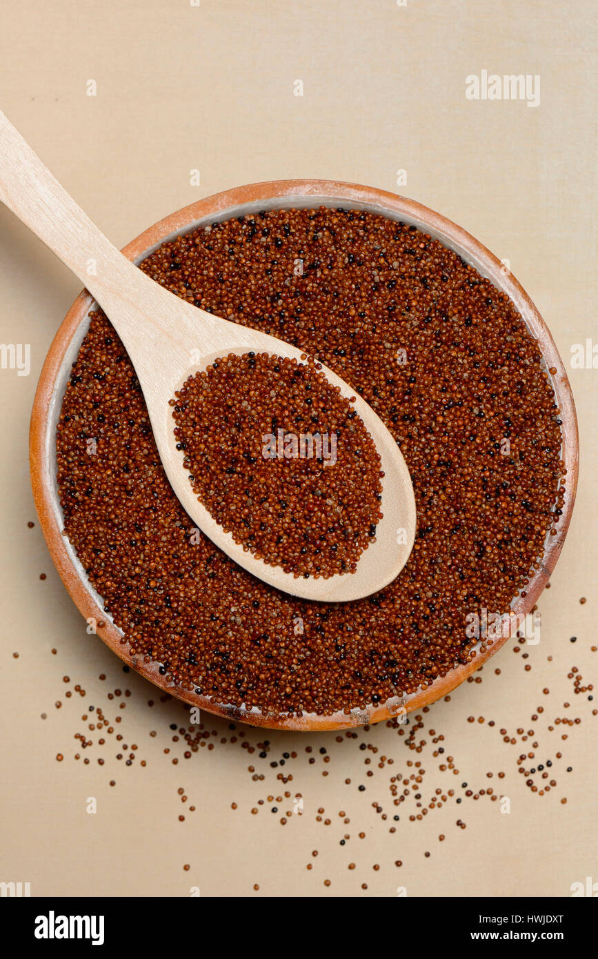 Kaniwa in Schale mit Loeffel, Baby Quinoa, Chenopodium pallidicaule Stock Photo