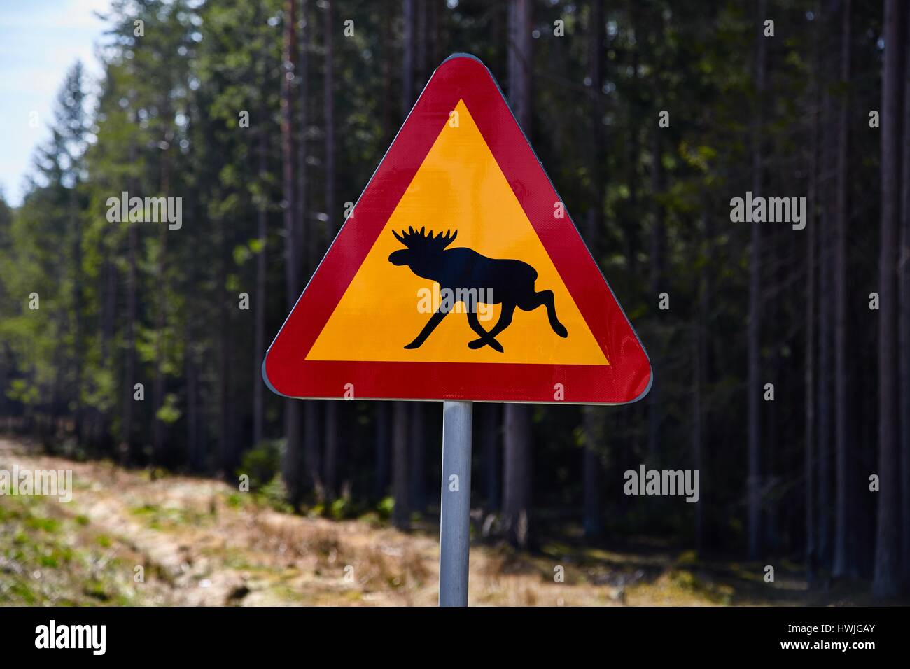 Moose roadsign in Sweden Stock Photo