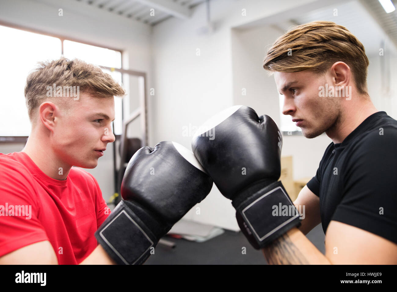 Two fit handsome men boxing. Two athlete boxers wearing boxing gloves sparred in boxing gym