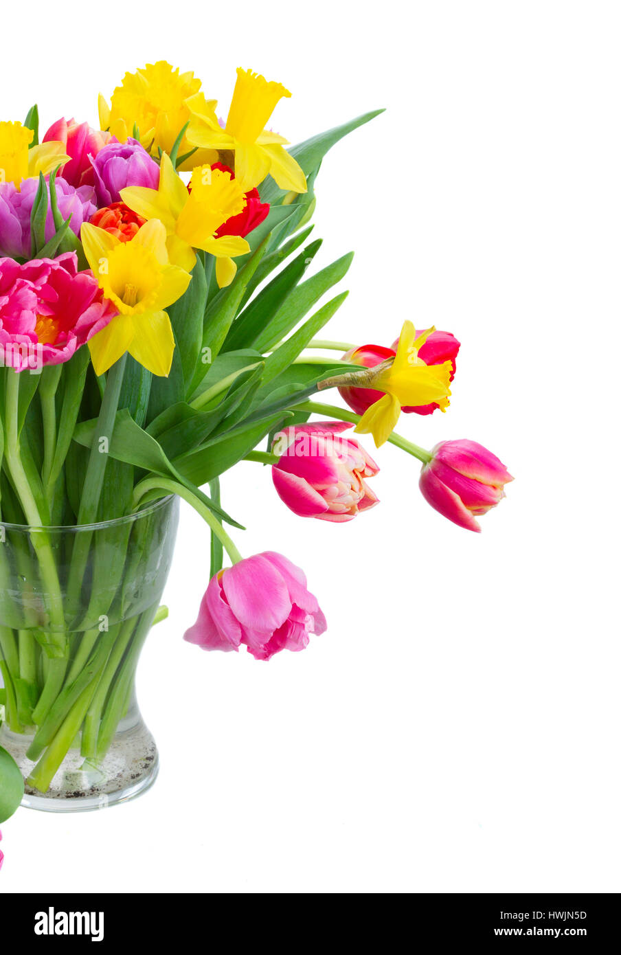 bouquet of tulips and daffodils Stock Photo - Alamy