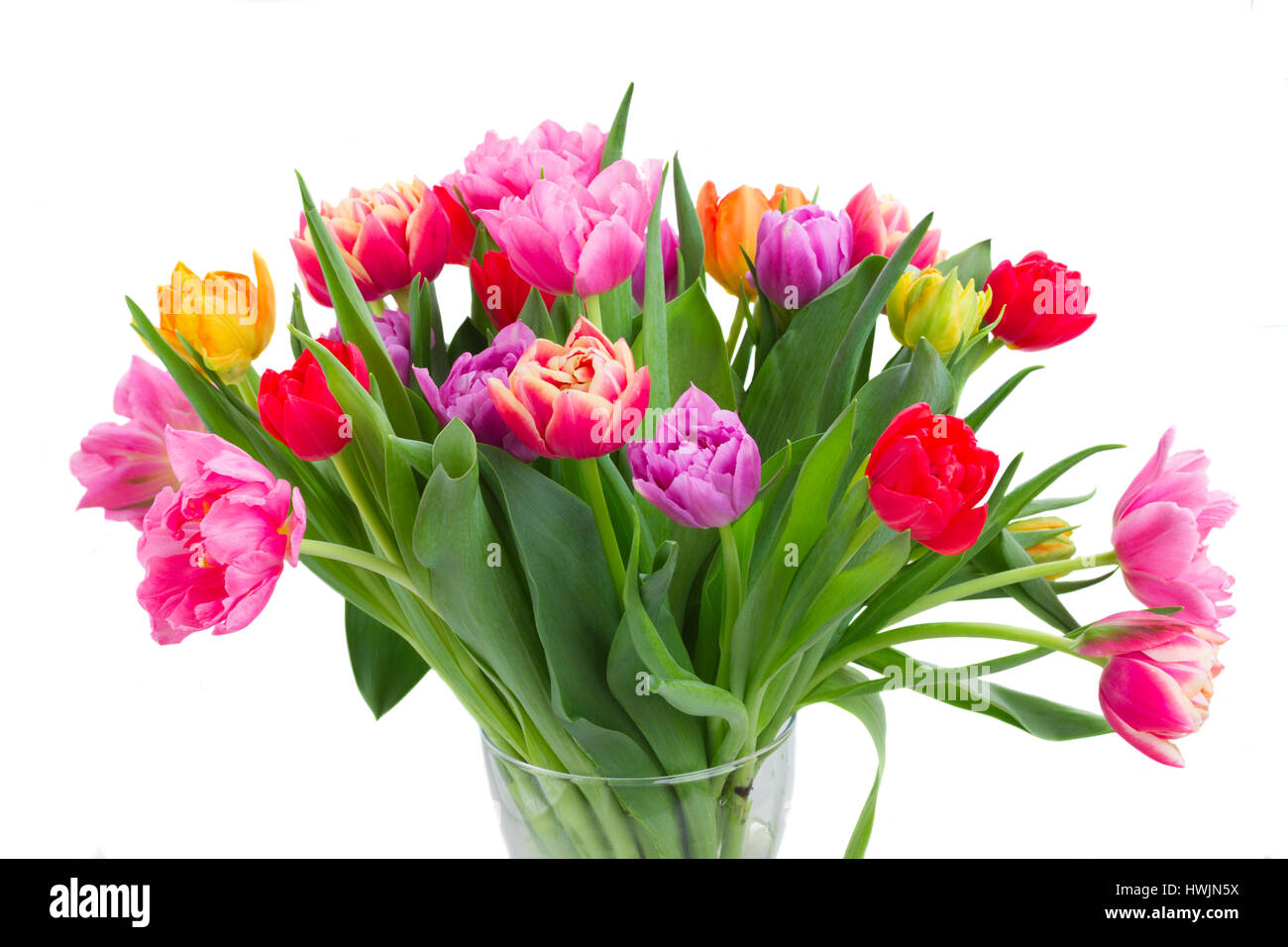 bouquet of tulips and daffodils Stock Photo - Alamy