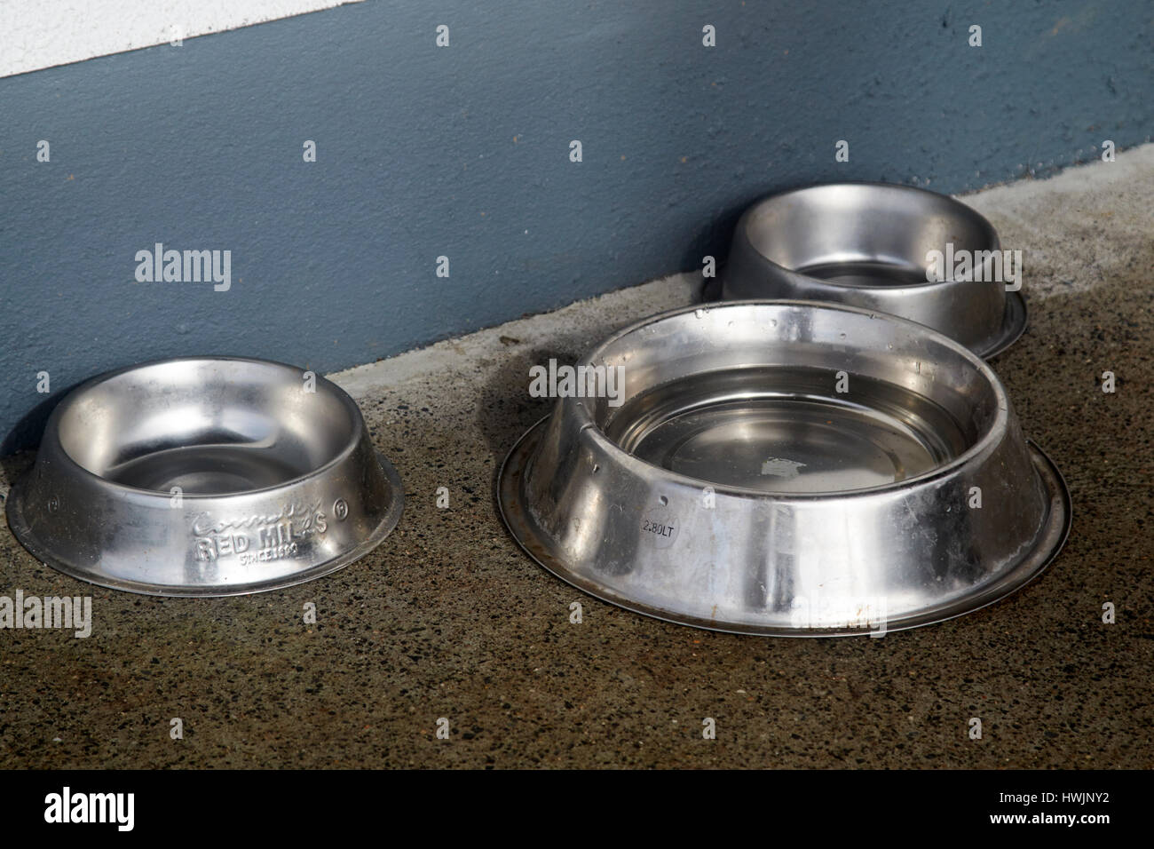 three metal bowls used to feed and water dogs Stock Photo