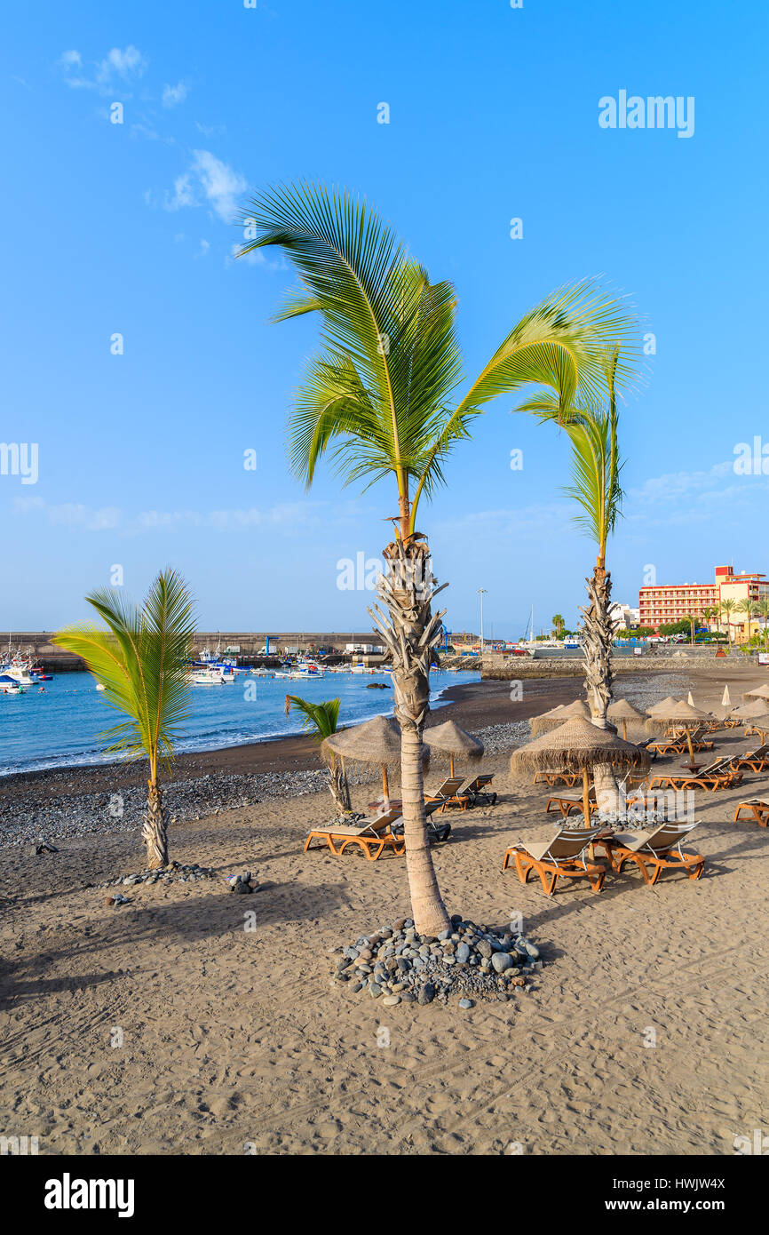 Palm trees on black sand volcanic beach in San Juan port, Tenerife island, Spain Stock Photo